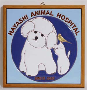 animalhospital01.jpg