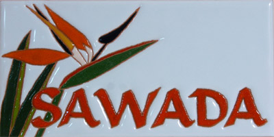 hawaiian19-L.jpg